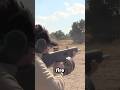 Is This Shotgun BANNED In War?