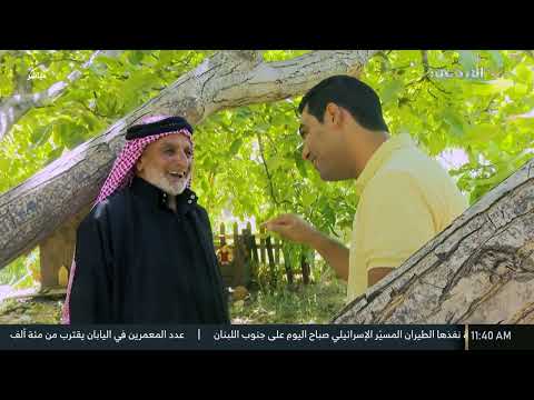 صباح الوطن الجميل من الشكارة عجلون 