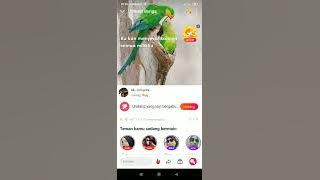 Mawar Bunga by Ratih Purwasih, cover (Iding Ridwana) WeSing