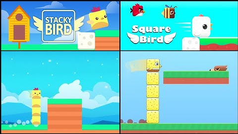 Stacky Bird vs Square Bird - A Journey Through All Levels"