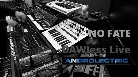NO FATE (DAWless Live) @ PEAK / MC-707 / TR-8S / SH-01A / JU-06A / VOLCA FM | Dub / Electronica