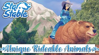 Star Stable RIDEABLE ANIMALS A  PENGUIN race and new clothes ??