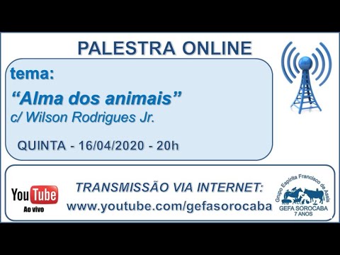 Assista: Palestra online - c/ WILSON RODRIGUES JR (16/04/2020)