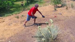 Using The Mitagator ™ Fire Mitigation Tool Speeds Up Lawn and Garden Work