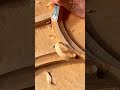 Carving out curved patterns on a wooden surface using a sharp hand chisel tool with great precision