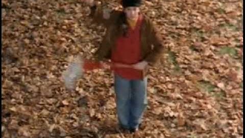 Hey Sandy/She Is Staggering (Pete/Ellen)