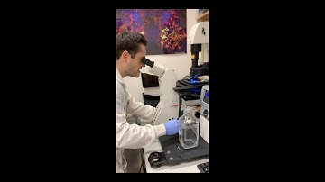 Calcium Imaging Tutorial