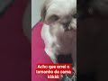 só um pouquinho grande