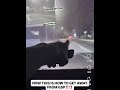 Georgia State Patrol 😳🍑 Chase Gone WRONG !!! #ViralVide #CrazyMoments #TrendingNow • #SubscribeNow