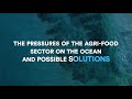 Agrifood sector  pressures on the ocean and possible solutions