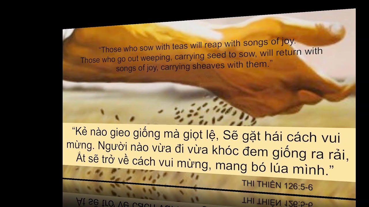 CAU NGUYEN TOI THU TU - MAY 15, 2024 ONLINE SERVICE - Hội Thánh Tin Lành Westminster