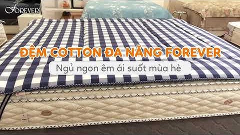 ĐỆM COTTON ĐA NĂNG | FOREVER BEDDING
