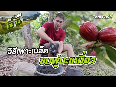 ผลสลากกินแบ่งรัฐบาล วันที่ 1 พย. 2567