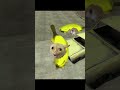 Banana cat knocking down a utility pole?/ 電柱を倒してしまうバナナ猫？ #shorts #gmod #bananacat