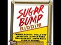 SUGAR BUMP RIDDIM MIX FT. GULLY BOP, CHARLY BLACK, JAH WAYNE & MORE {DJ SUPARIFIC}