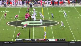 UGA Nick Chubb vs Auburn 2014