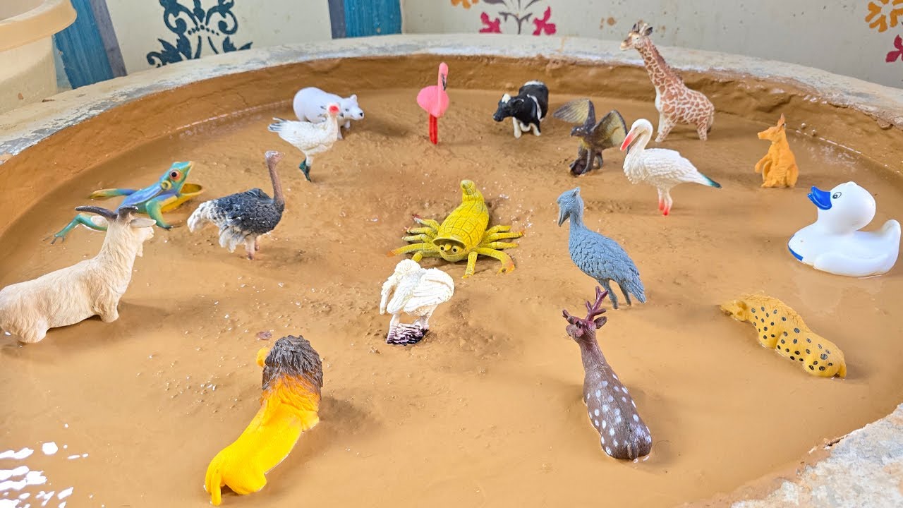 Веселый квест с животными: найдите птиц, друзей фермы и животных зоопарка в грязи