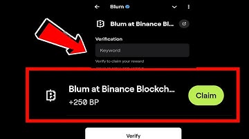 BLUM AT BINANCE BLOCKCHAIN BLUM VIDEO CODE | BLUM AT BINANCE BLOCKCHAIN BLUM VERIFICATION KEYWORD