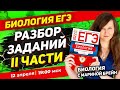 РАЗБОР ЗАДАНИЙ ВТОРОЙ ЧАСТИ ЕГЭ ПО БИОЛОГИИ 2022