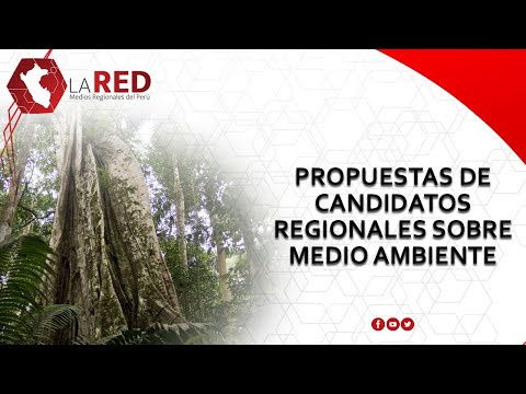 Propuestas de candidatos regionales sobre Medio Ambiente | Red de Medios Regionales del Perú