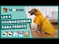 Los 5 chubasqueros para perros