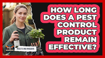 How Long Does A Pest Control Product Remain Effective?