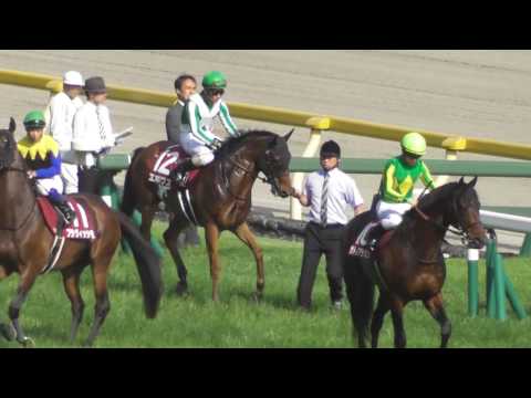 2016 第61回 京王杯スプリングカップ(ＧＩＩ) 本馬場入場 現地映像 サトノアラジン