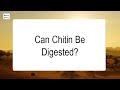 Can Chitin Be Digested 