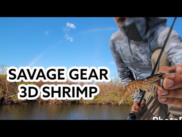 savage gear 3D shrimp 