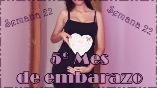 Mes 5  EMBARAZO Semana 22 |El mejor mes| ¿Ela es muy grande?|Pantalones premamá