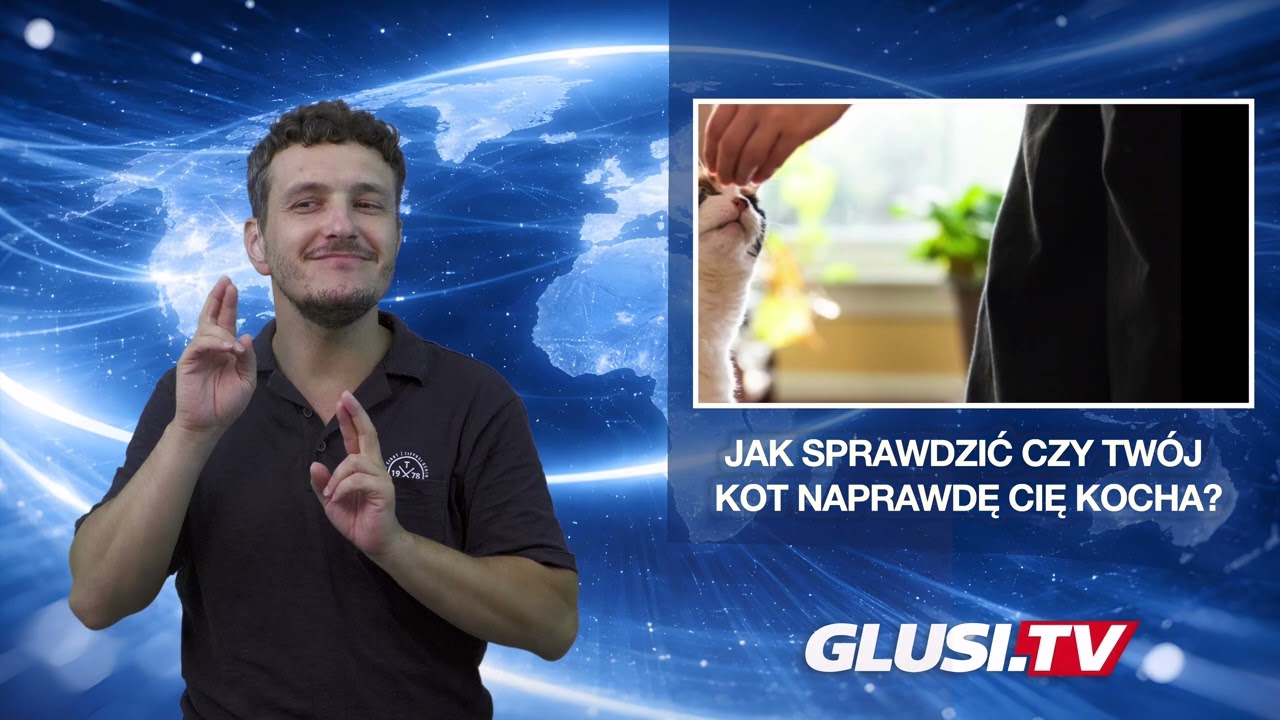 Jak sprawdzić czy Twój kot naprawdę Cię kocha?