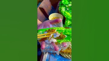 Deep fried tilapia - Câu Được Cá Rô Phi 5 Ký Đem Chiên Xù Quá Đã