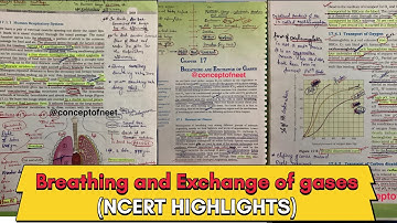 Breathing and Exchange Of Gases (For NEET) **NCERT HIGHLIGHTS** class 11th Biology 🧬 (H.physiology)