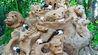 Hamster Maze With Safari Hill - Amazing Hamster Maze