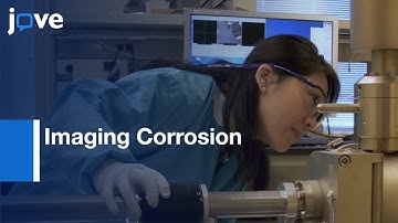 Metal-Paint Interface Using Time-of-Flight Secondary Ion Mass Spectrometry l Protocol Preview