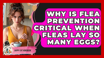 Why Is Flea Prevention Critical When Fleas Lay So Many Eggs? - Happy Cat Handbook
