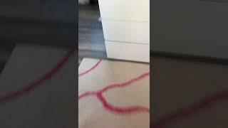 Download Lagu What!??? #foot #fairy #barefoot #funny #duet #trendingshorts MP3