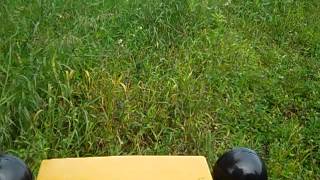 Simplicity Weedcutter 1