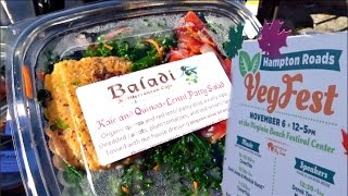 VEG FEST 2016 | VLOG