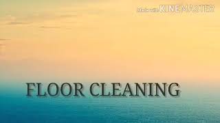 PERFORMANCE TASK IN TLE ( CLEANING HOUSEHOLD)