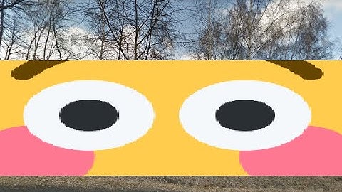 the video ends when i get a country on geoguessr wrong (wow its short)