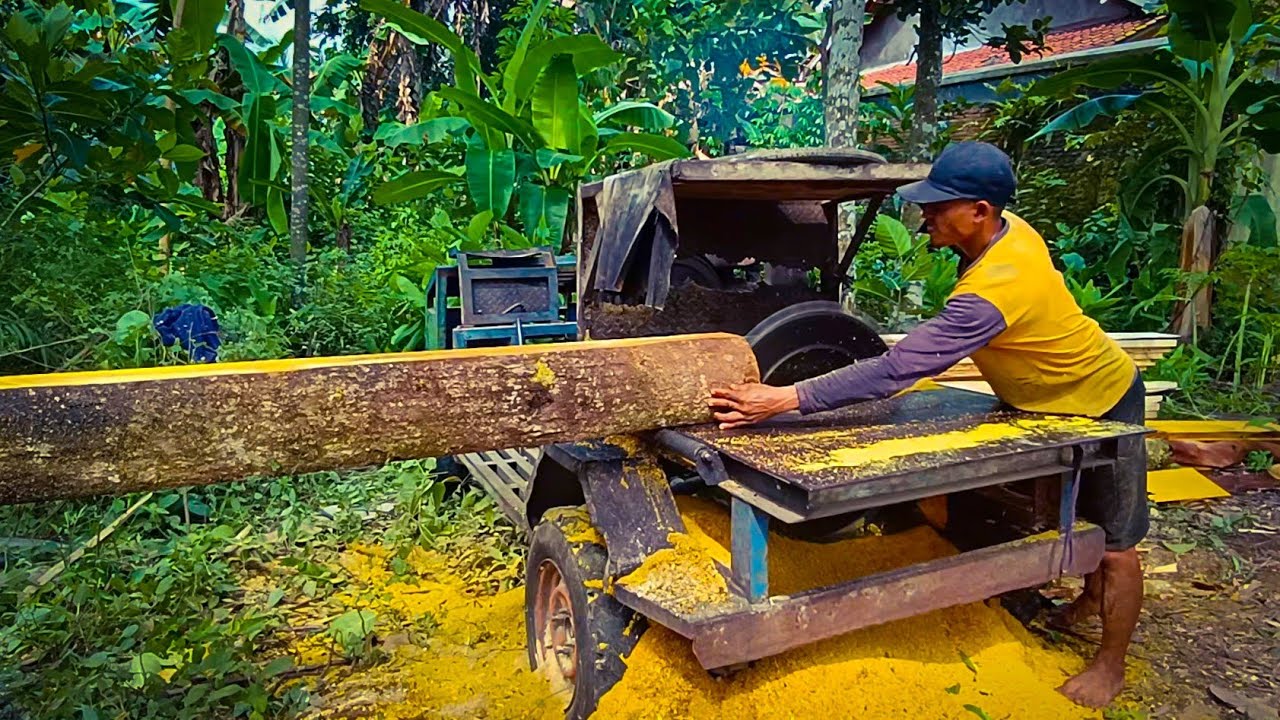 MANTAP‼️GERGAJI KAYU NANGKA KUALITAS SUPER