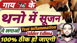 गाय  के थन में सूजन की दवा||Cow Teat Inflammation Medicine 100% Tretment