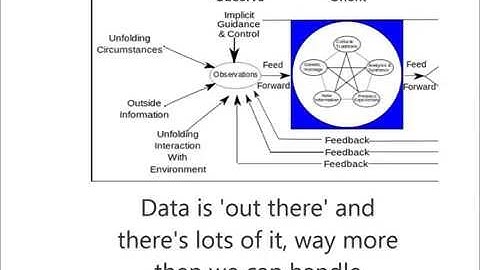 OODA loop Micro-course, Observations
