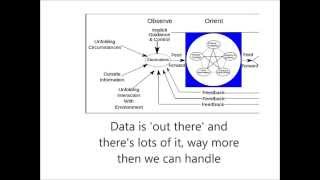 OODA loop Micro-course, Observations Net Worth