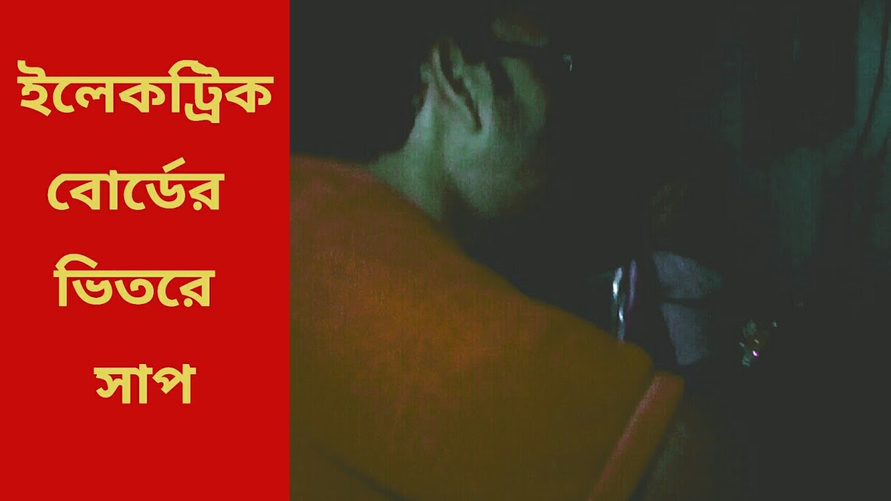 snake story for toddlers ইলেকট্রিক বোর্ডের ভিতরে সাপ (Indian Common Wolf Snake)