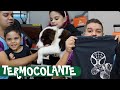 Camisas INCRÍVEIS com TERMOCOLANTE e plotter de Recorte i-Craft