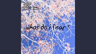 Video thumbnail of "Three Tone Somatics - What Do I Fear?"