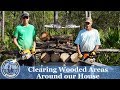 Clearing Wooded Areas Around our House