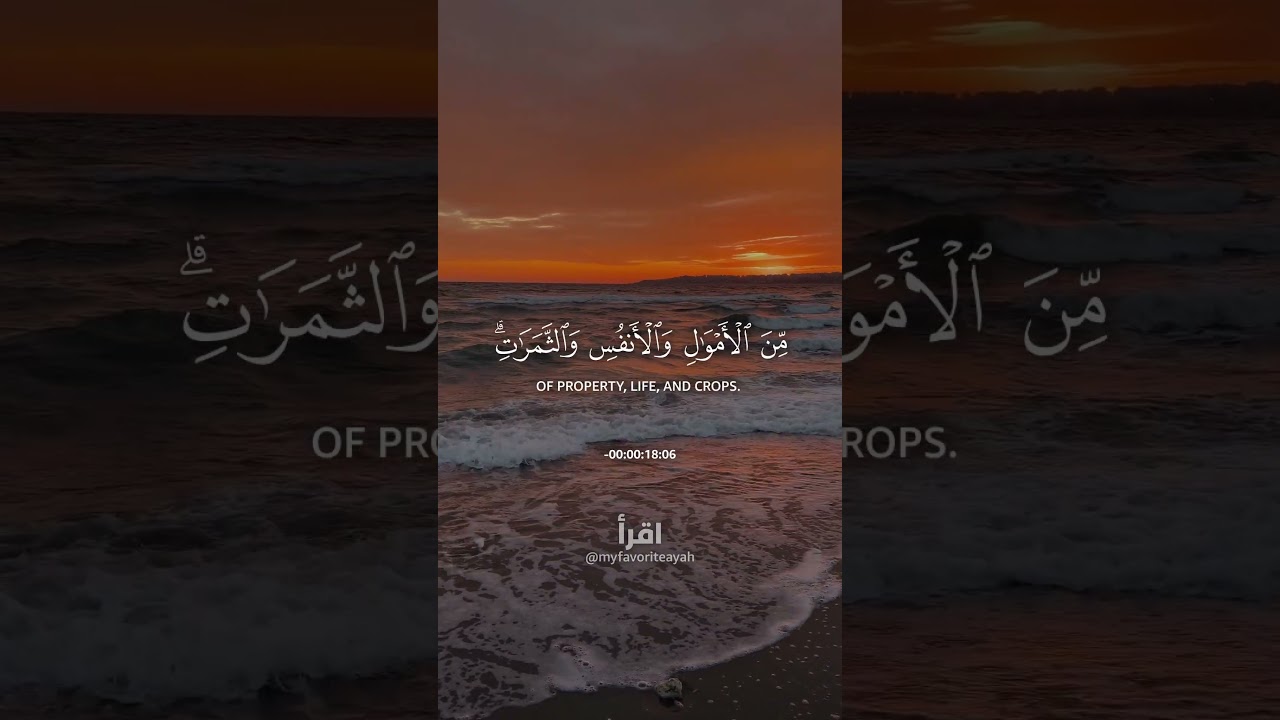 Allah says, Remember me, and I shall remember you ❤️ #shorts #quran #quranrecitation #islamic